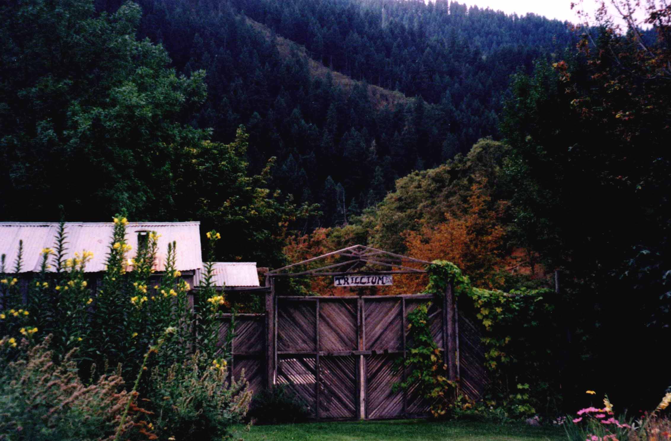 Mother Garden and gate leading to "downtown" Trillium. Cedar Bard on left; Trapper's cabin in trees on right.