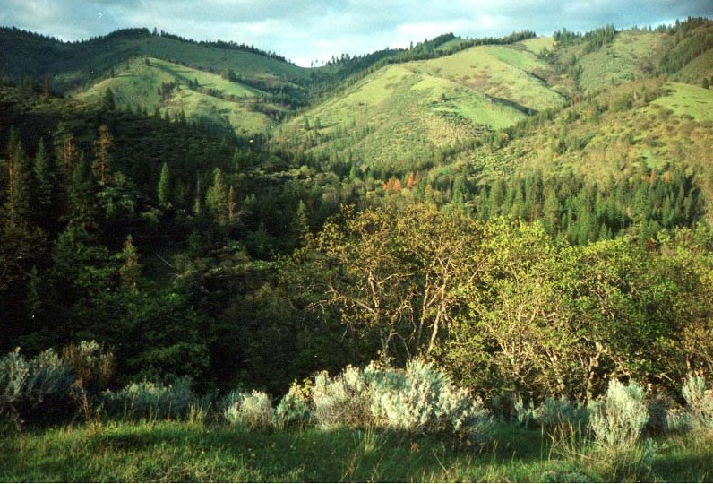 Spring in the Dakubetede Wilderness.