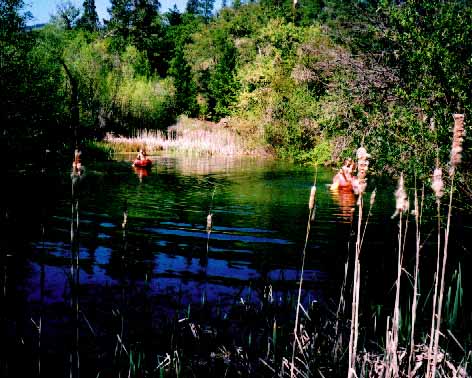 Collecting Algae with Kayaks