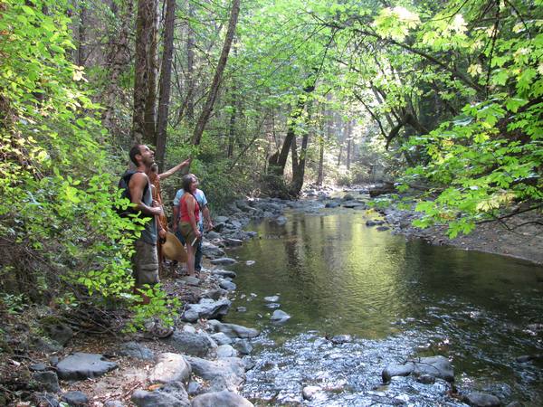 Late summer on the banks of the Little Applegate River.