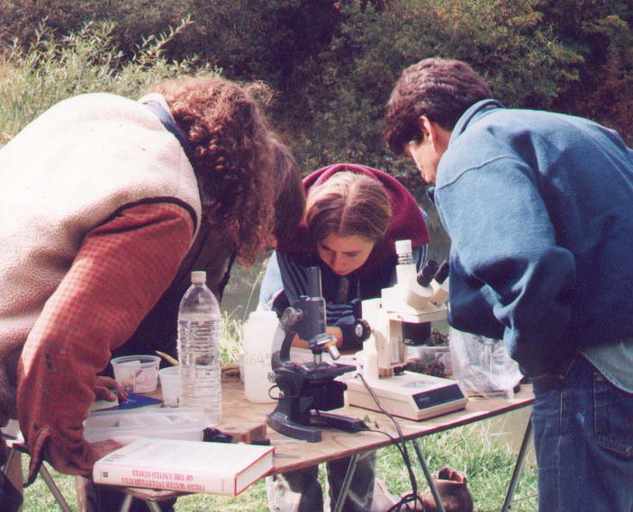 Aquatic Ecology field class with Dr. Jacob Kann.